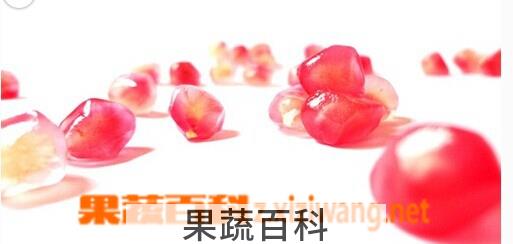 果蔬百科石榴子