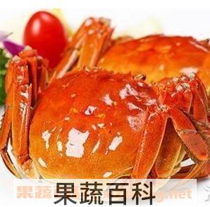 丁蟹
