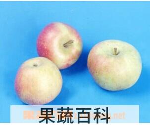 果蔬百科国光苹果