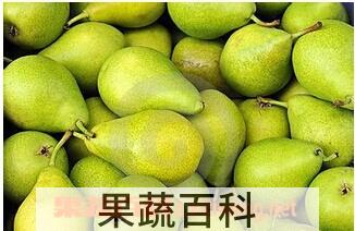 果蔬百科法兰西梨