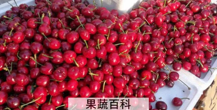 大小樱桃怎么保存时间长一点，不用冰箱樱桃怎么保存时间长