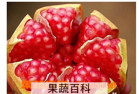 果蔬百科石榴
