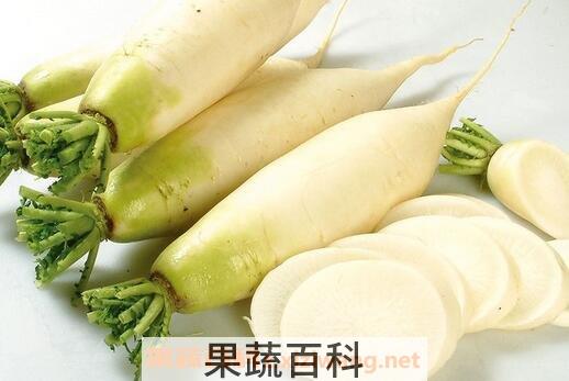 红薯和白萝卜能一起吃吗 