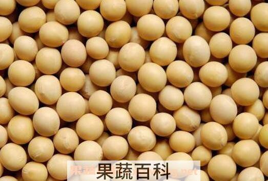 黄豆的选购方法 