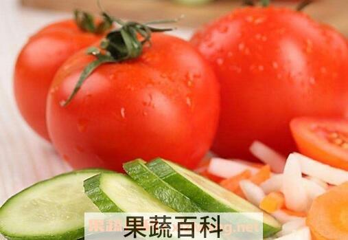  西红柿能和黄瓜一起吃吗