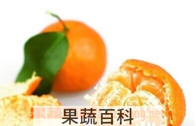 果蔬百科橘子皮