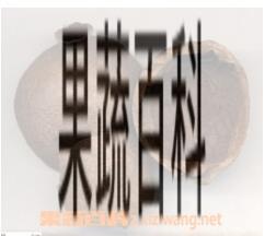果蔬百科石榴皮