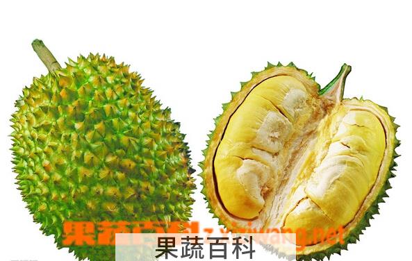果蔬百科夏天榴莲怎么存放