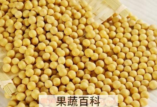 吃黄豆的好处与坏处