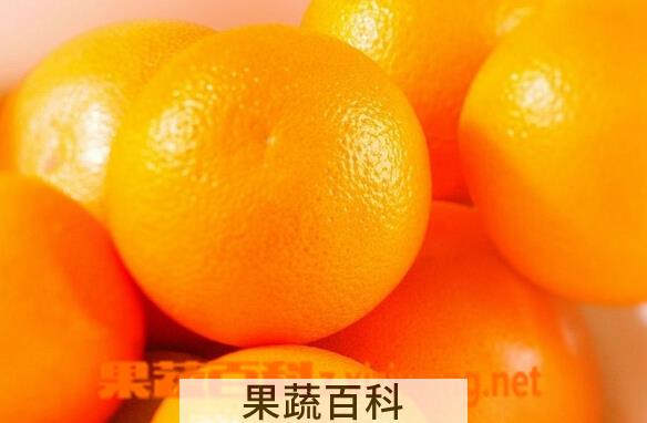 果蔬百科甜橙