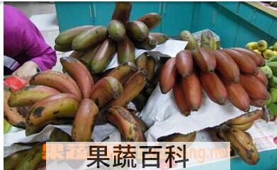果蔬百科红皮香蕉