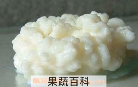 藏灵菇有什么药用价值