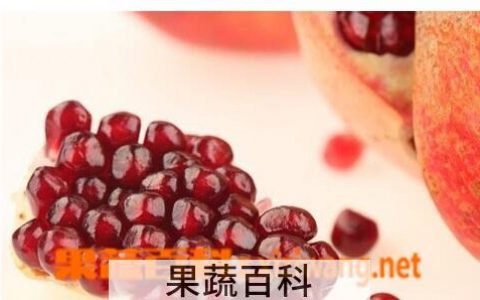 孕妇吃石榴有什么好处吗 孕妇吃石榴有什么好处和坏处