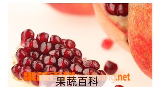 果蔬百科石榴