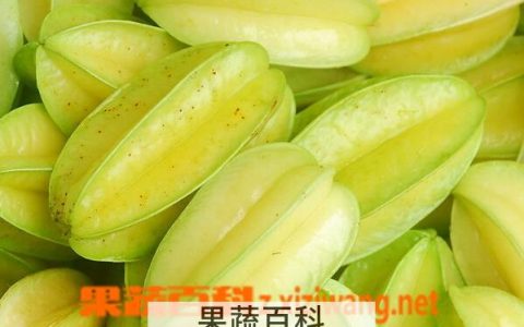 杨桃生吃的正确吃法 杨桃生吃怎么吃好吃