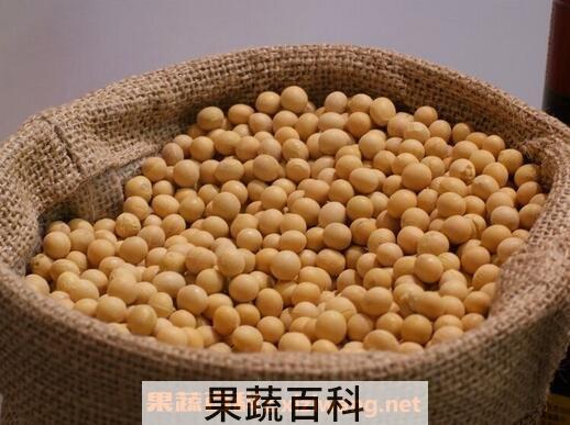 大豆的营养价值与功效