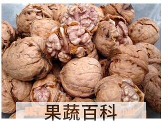 果蔬百科核桃