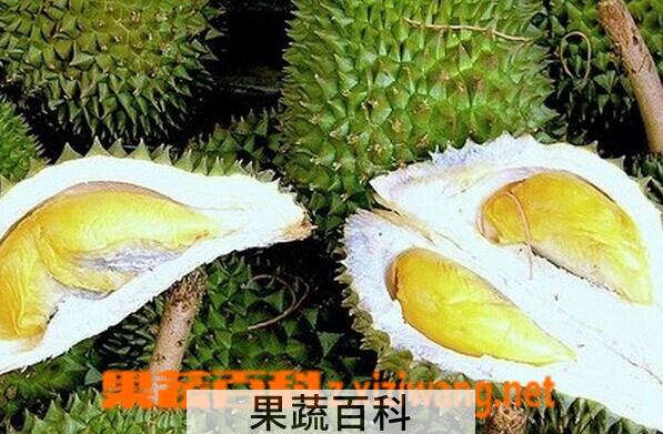 果蔬百科月子期间能吃榴莲吗