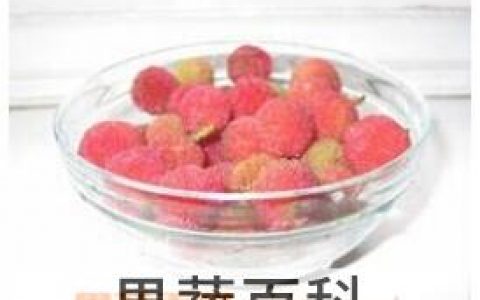 衣服染了杨梅汁怎么洗 杨梅汁怎么洗掉白衣服