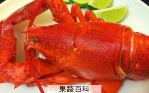 如何做波士顿龙虾好吃又简单的做法窍门 什么是波士顿龙虾