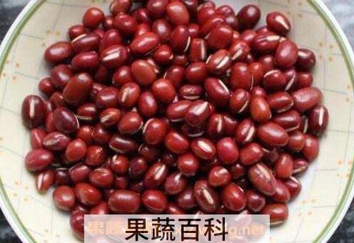 赤小豆的功效与有哪些