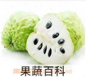果蔬百科凤梨和释迦