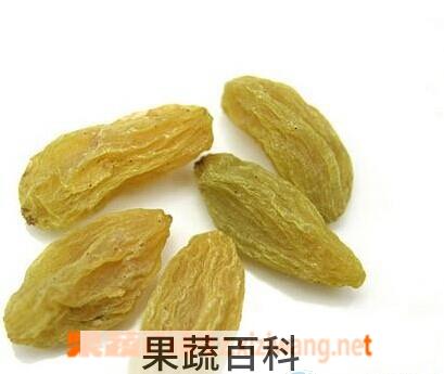 果蔬百科葡萄干