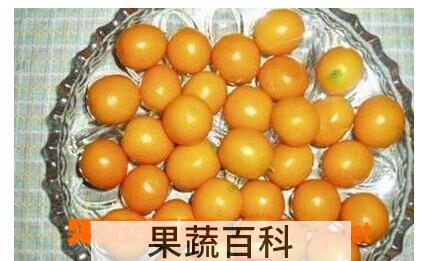 果蔬百科小橘子
