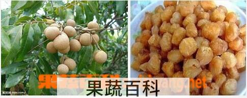 果蔬百科龙眼和桂圆