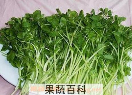 新鲜蔬菜怎么保存 