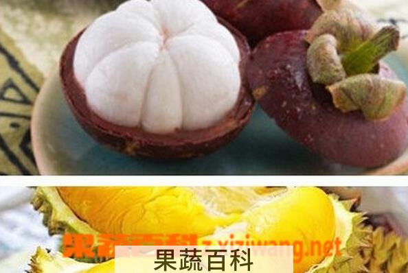 果蔬百科怎么吃榴莲不上火