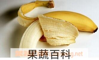 果蔬百科香蕉
