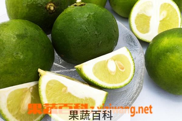 果蔬百科酸橙