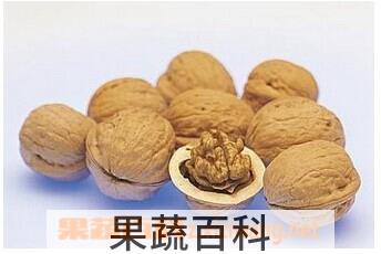 果蔬百科核桃