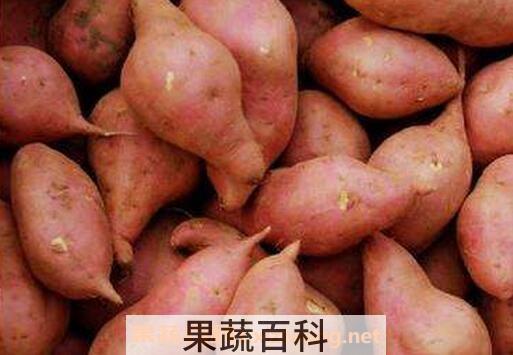 山芋的科学吃法 