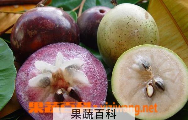 果蔬百科金星果