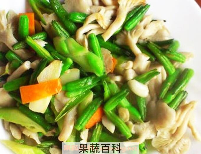 袖珍菇