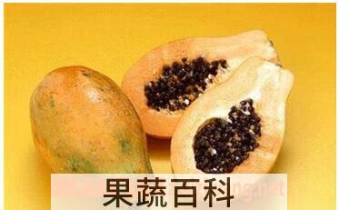 果蔬百科木瓜