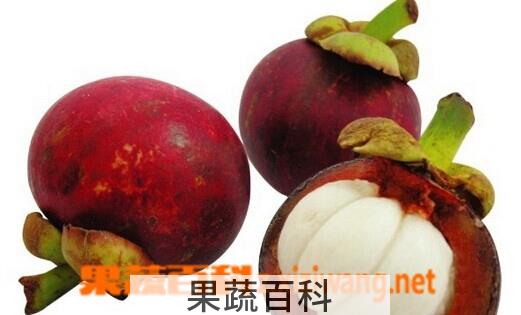 果蔬百科山竹