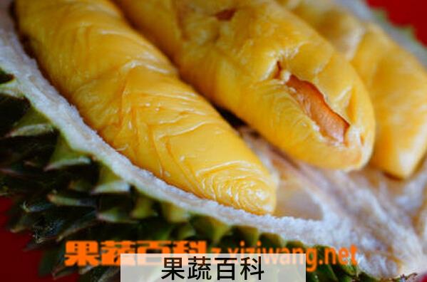 果蔬百科榴莲