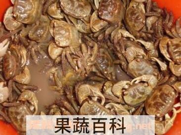斗蟹