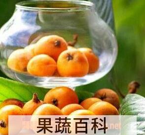 果蔬百科杏