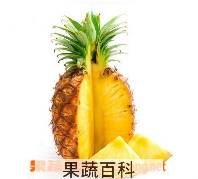 果蔬百科台湾凤梨和菠萝