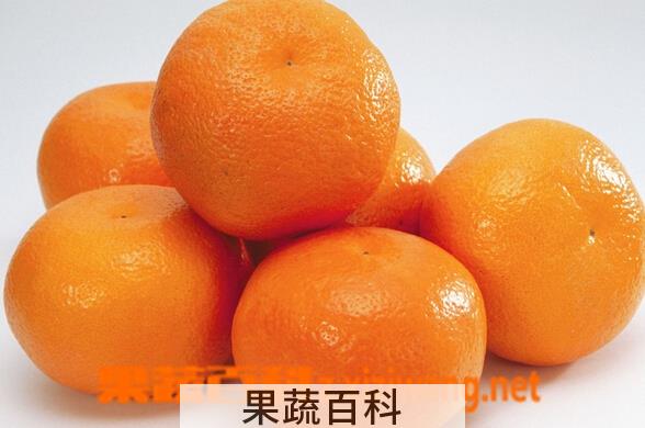 果蔬百科橘子和桔子的区别