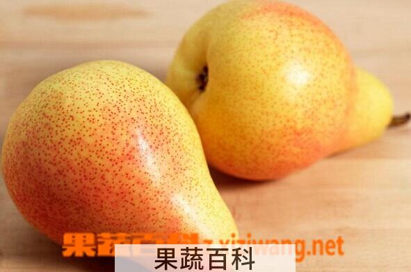 果蔬百科西洋梨