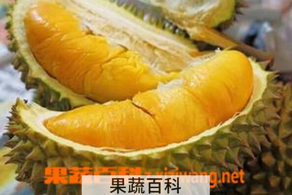果蔬百科榴莲