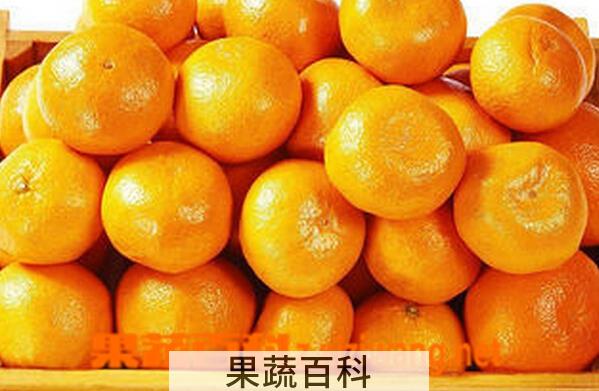 果蔬百科吃桔子上火吗