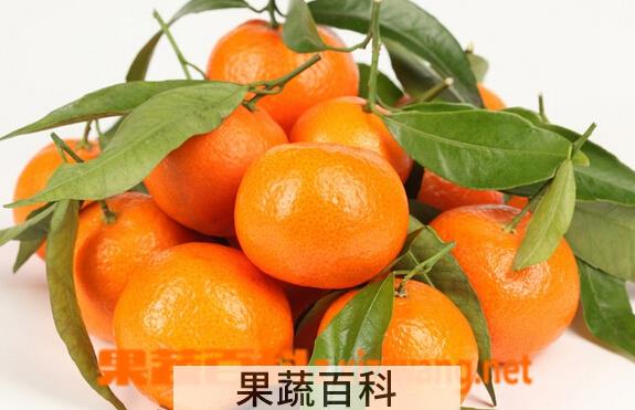 果蔬百科孕妇能吃橘子吗