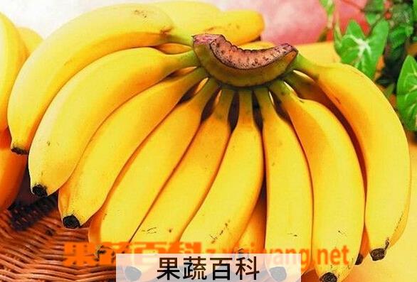 果蔬百科孕妇吃香蕉的好处