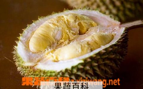 怎么判断榴莲是不是坏了 怎么判断榴莲变质了没有